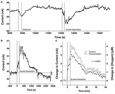 Rapid Physiological Fluctuations in Nucleus Accumbens Oxygen Levels Induced by Arousing Stimuli: Relationships with Changes in Brain Glucose and Metabolic Neural Activation